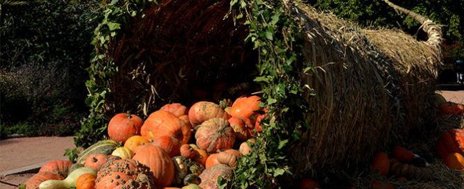 Too many Google reviews, all at once